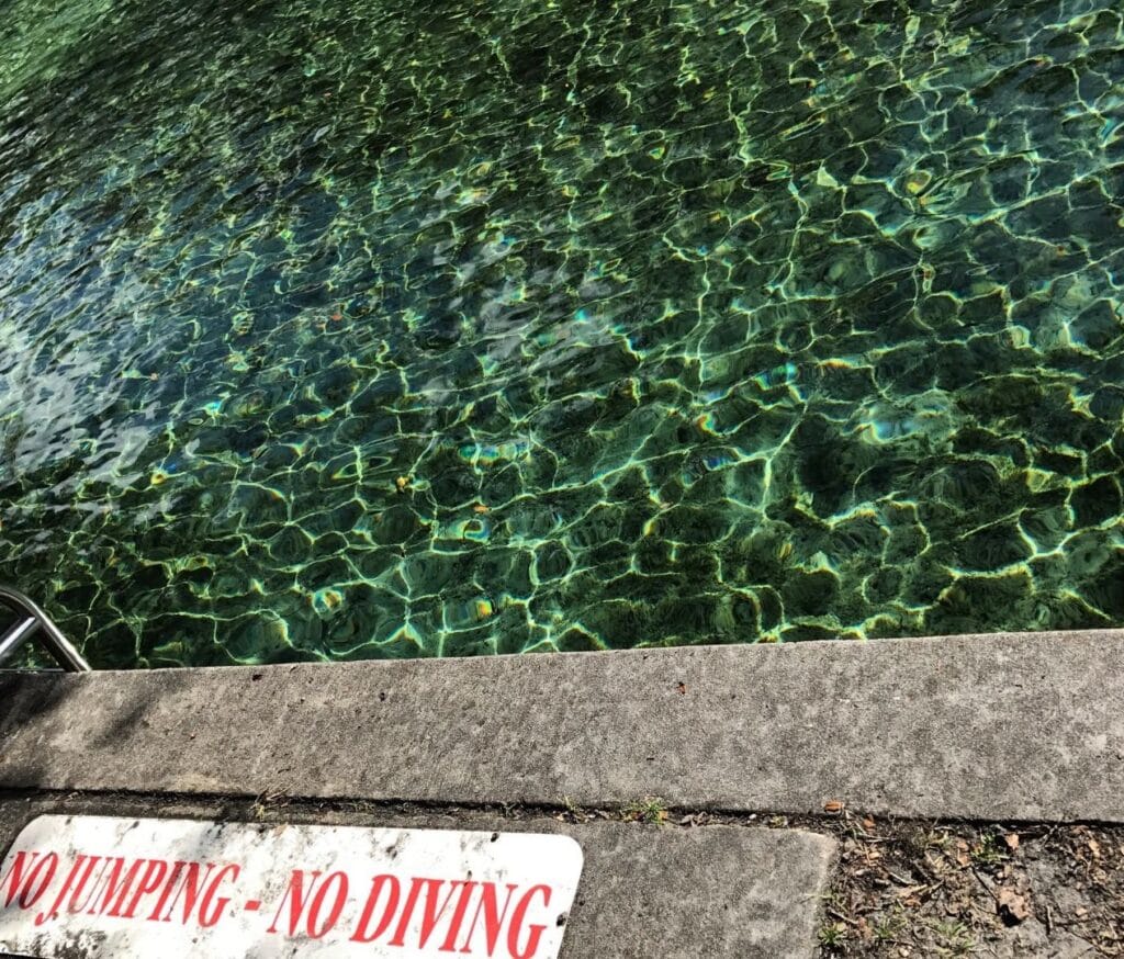 Kelly Park swim area - image by Dani Meyering