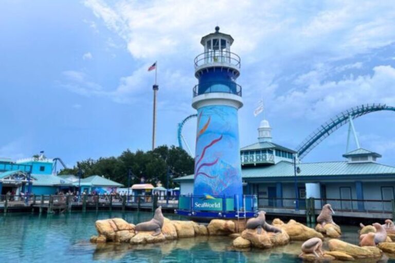 Celebrate Memorial Day with SeaWorld Orlando: Discounts Galore and Free Admission for Veterans and Active Military