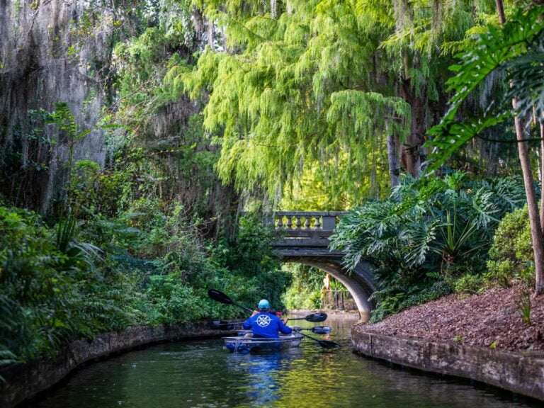 The Perfect Date Night Paddle: An Unforgettable Clear Kayak Eco-Tour in Winter Park