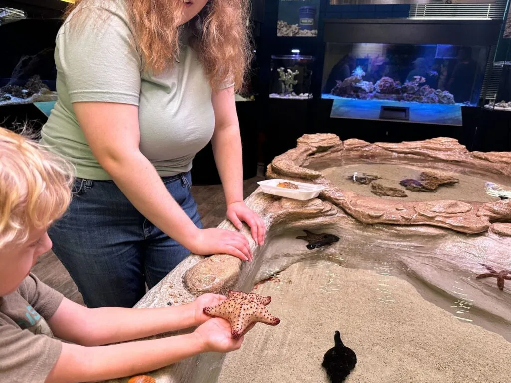Marine Discovery Center New Smyrna Beach young boy holds a sea star - image by Dani Meyering