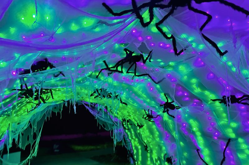 Spider's Den Light Tunnel Halloween Leu Gardens - image by Dani Meyering
