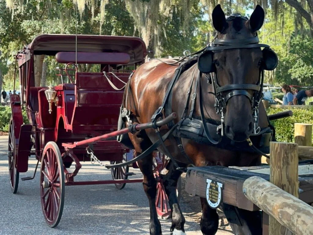 Horse Drawn Carriage Ride at Disney's Fort Wilderness Resort waits at Pioneer Hall