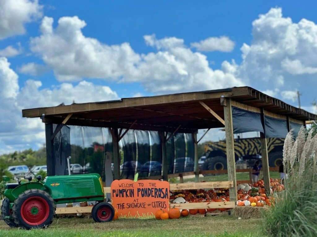 Pumpkin Ponderosa at The Showcase of Citrus photo opportunity with tractor 