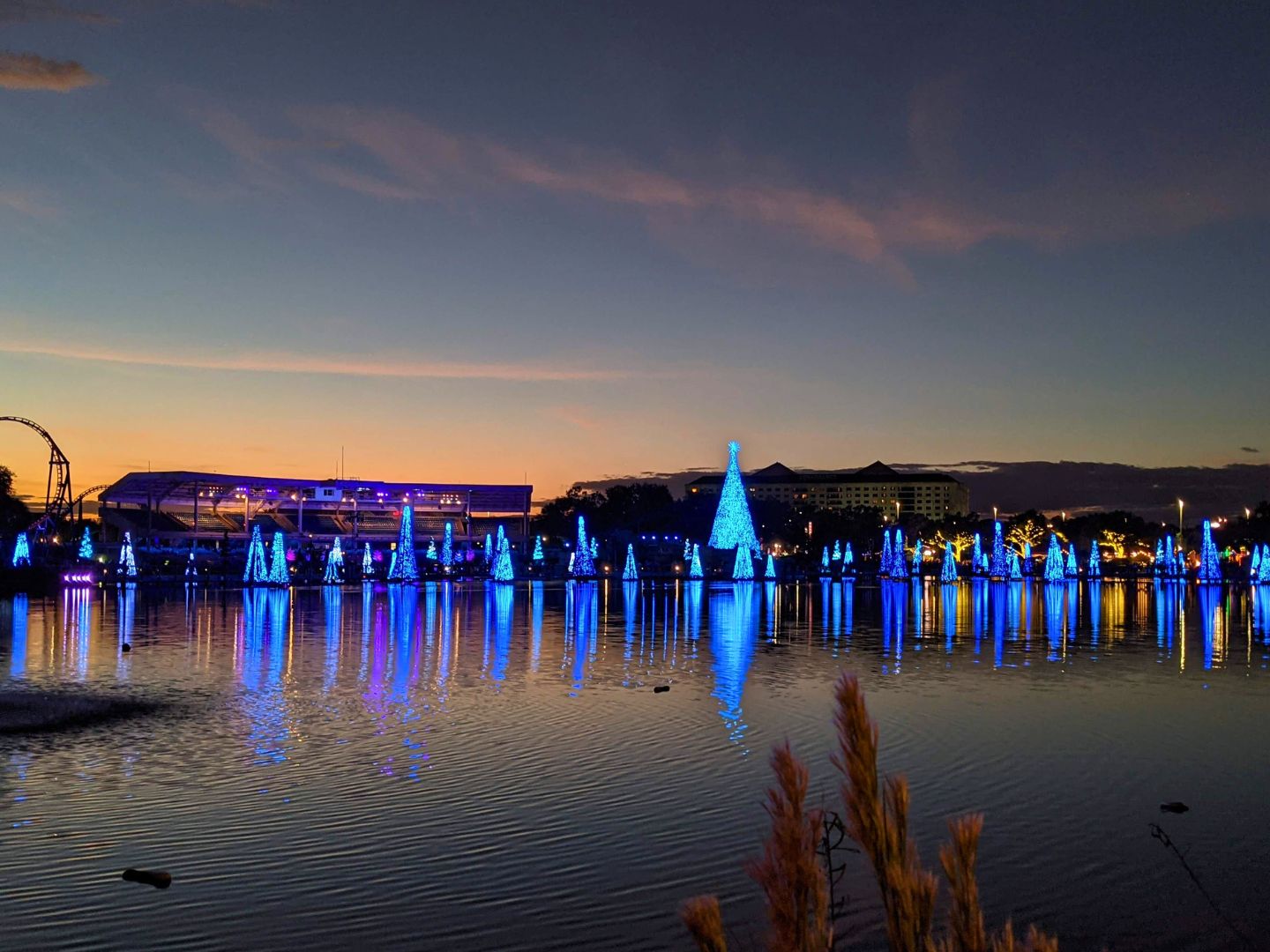 Christmas trees at night on the wat4er at SeaWorld Orlando