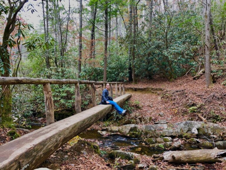 ODNG Nancy DeVault enjoys Thanksgiving Getaways to Asheville