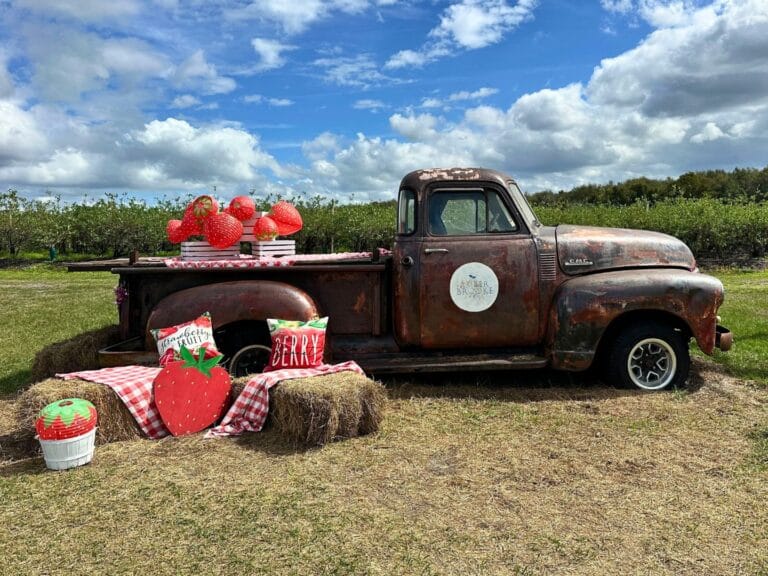 5 Things to do this Weekend in Orlando -Date Ideas