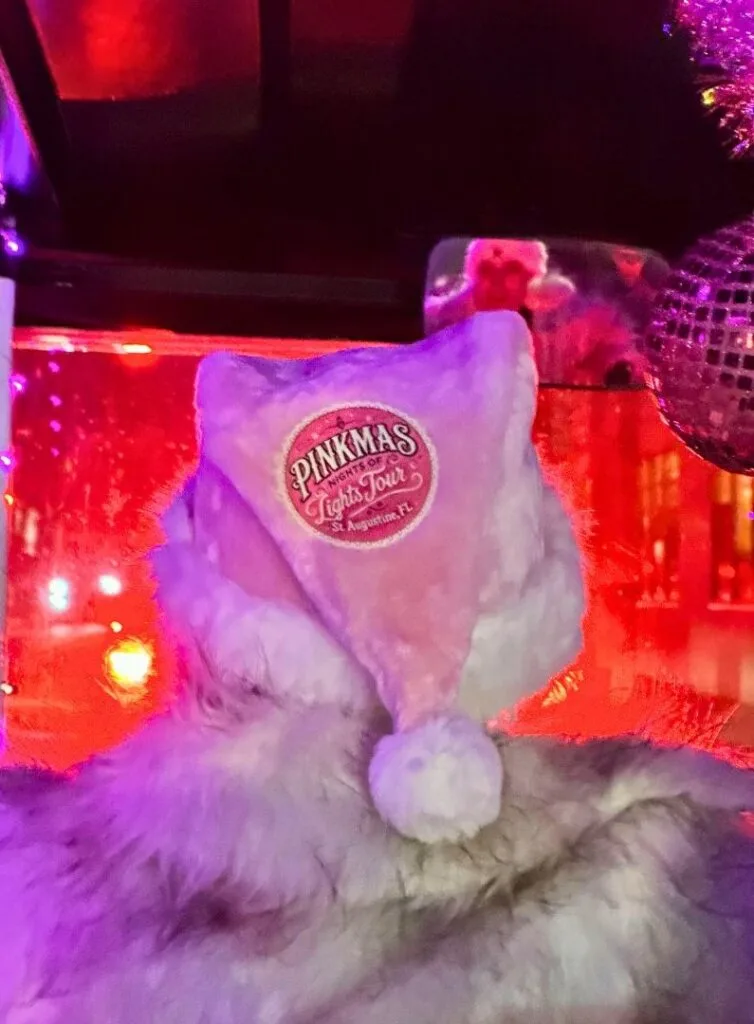 Pink Culture Tours by BK Adventure Pinkmas Nights of Lights St. Augustine Tour tour guide