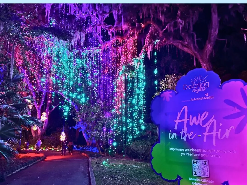 entrance of Awe in the Air at Dazzling Nights Leu Gardens 2024 christmas trees overhead - image by Dani Meyering