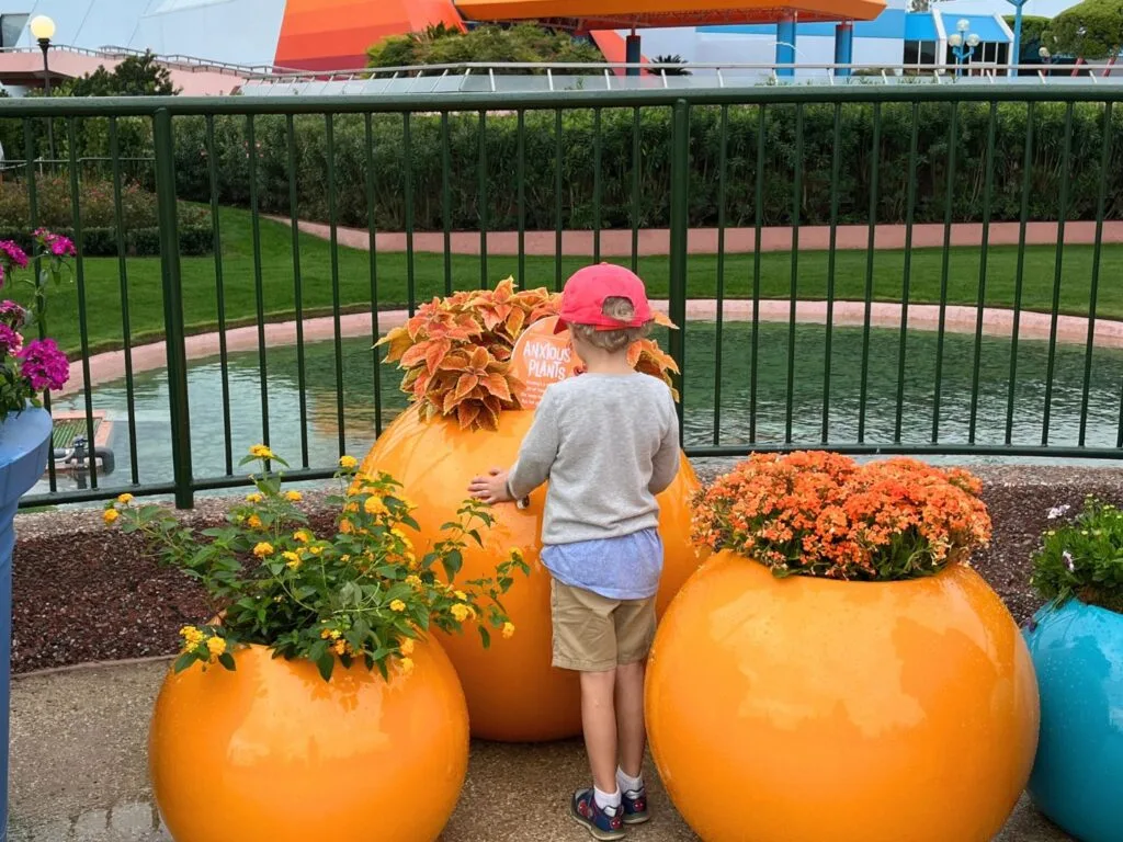 Inside Out 2 Garden at EPCOT Flower and Garden Festival 2025 - image by Meghan Roth