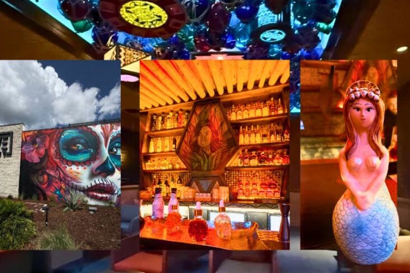 Maya Speaktiki Hamlin Winter Garden dining area and drinks - images by Jodi Caballero