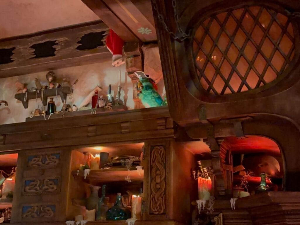 Rummy the Parrot at The Beak and Barrel Magic Kingdom Bar - image by Dani Meyering