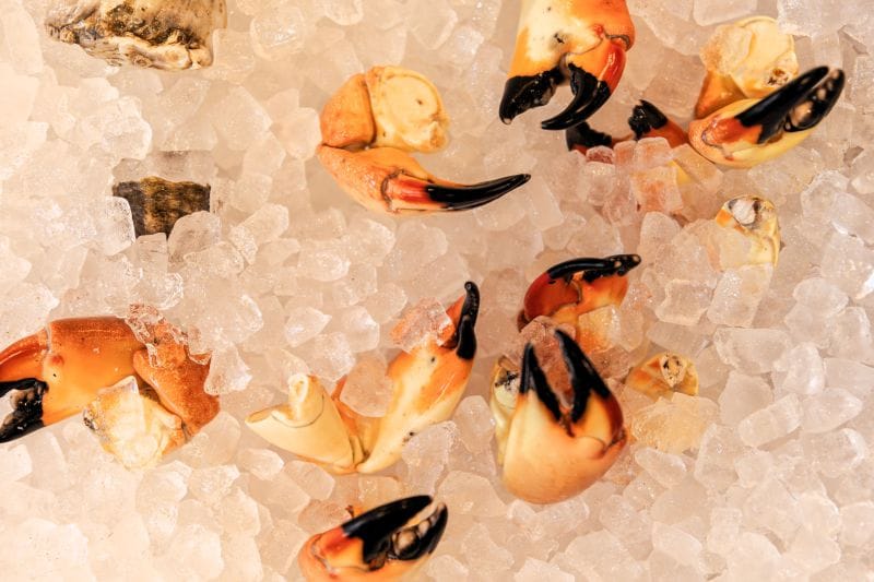 stone crab claws at Bruno's Oysters