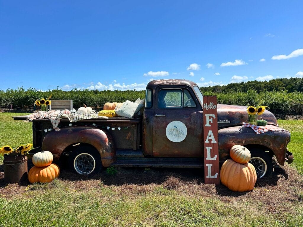 Amber Brooke Farms Fall Festival Pick Up Truck - image by Dani Meyering