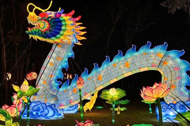 Dragon at Asian Lantern Festival 2025 Central Florida Zoo - image by Dani Meyering 2