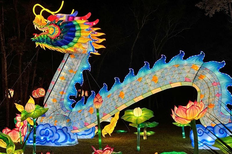 Dragon at Asian Lantern Festival 2025 Central Florida Zoo - image by Dani Meyering 2