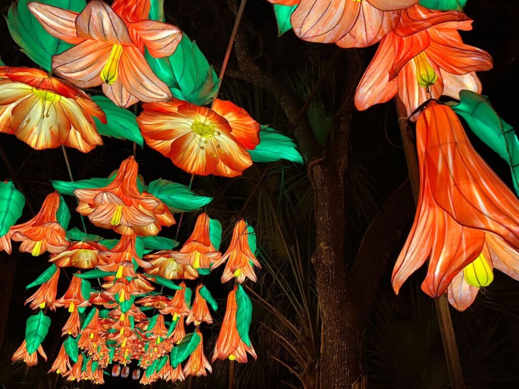 Flower Lanterns Overhead at Asian Lantern Festival 2025 Central Florida Zoo - image by Dani Meyering