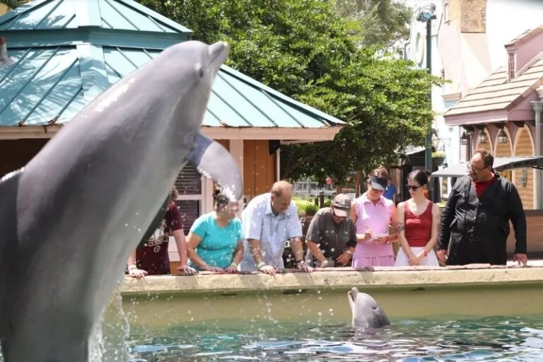 Dolphin Up-Close Tour group photo