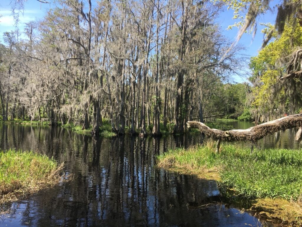 Crooked River Preserve -- parks in Orlando