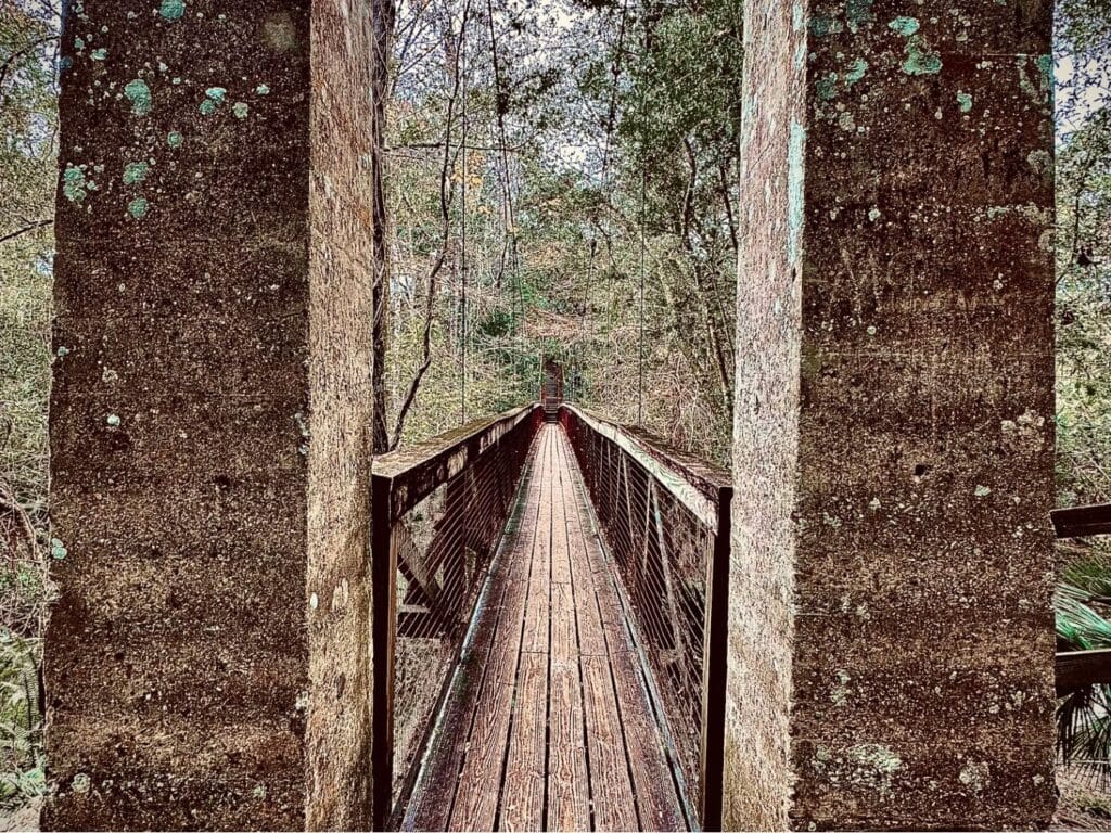 Ravine Gardens State Park