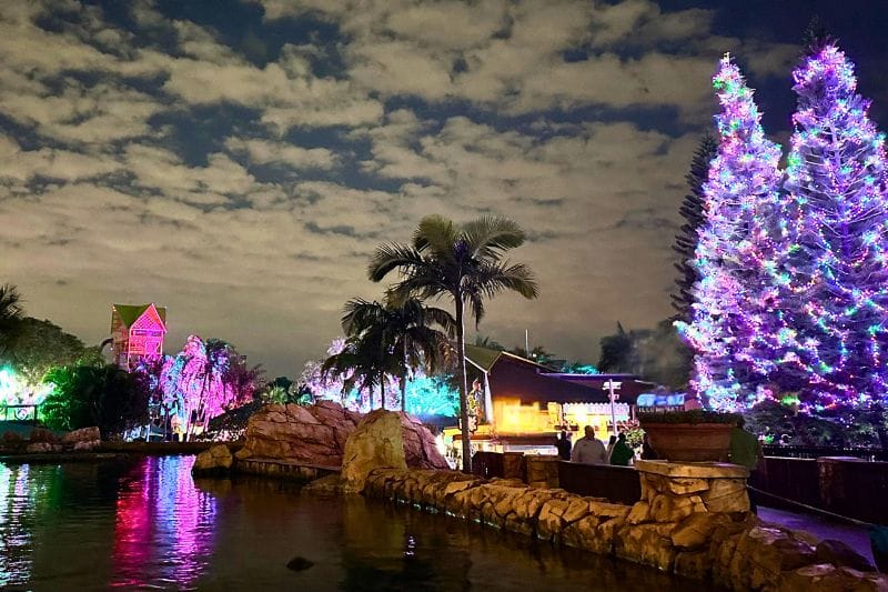 Christmas Lights upon arriving to ILLUMINATE Aquatica - image by Dani Meyering