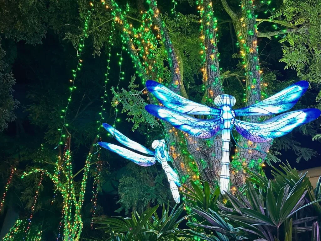 Dragonfly Lanterns and Christmas Lights at  Mystic Wood Waters ILLUMINATE Aquatica - image by Dani Meyering