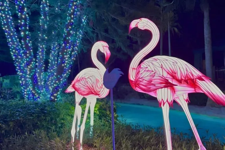 Flamingo Lanterns and Christmas Lights at ILLUMINATE Aquatica - image by Dani Meyering