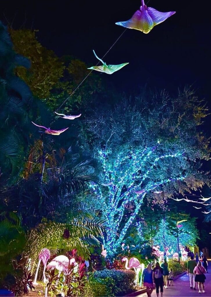 Flamingos and Stingway Lanterns in Rivers of Discovery ILLUMINATE Aquatica - image by Dani Meyering