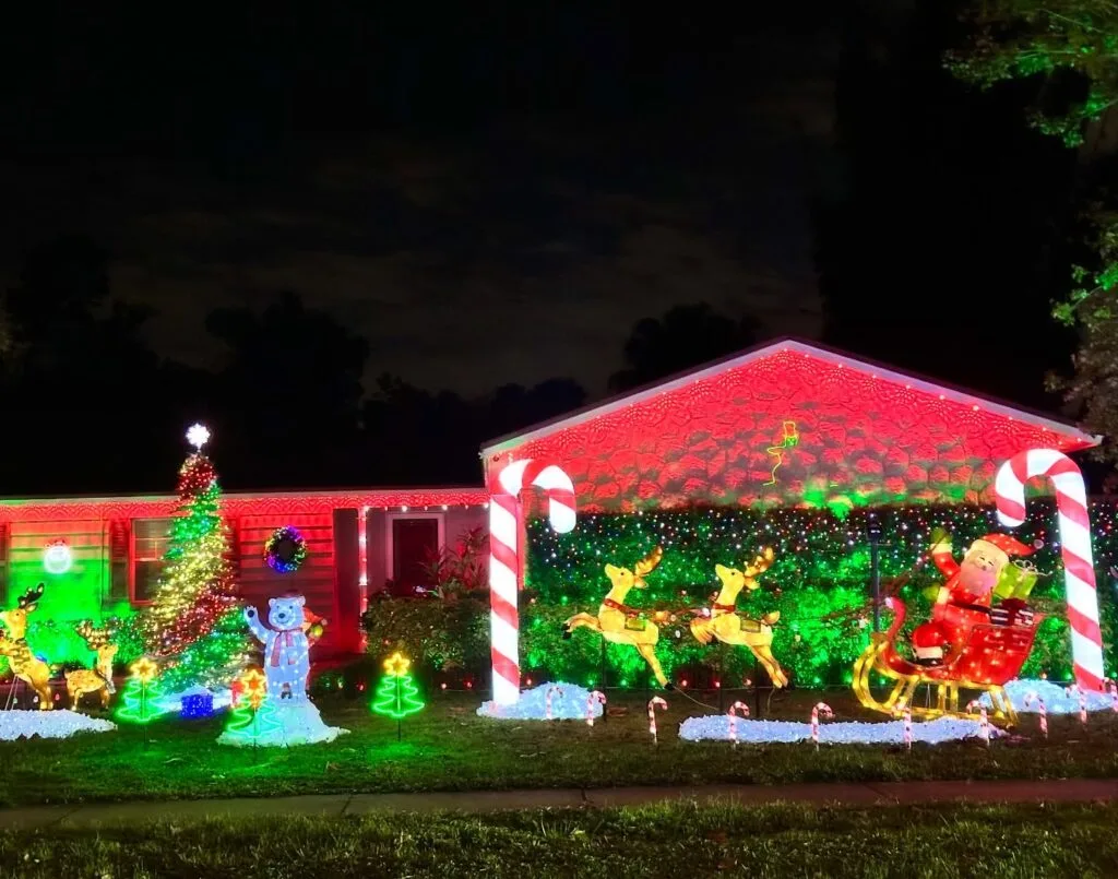 Mark David Blvd Casselberry - image by Dani Meyering