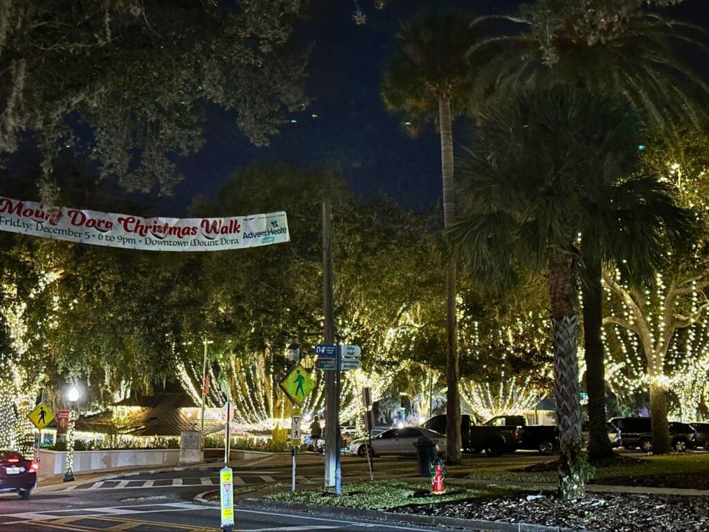 Donnelly Park Christmas Lights Mount Dora at night - image by Dani Meyering