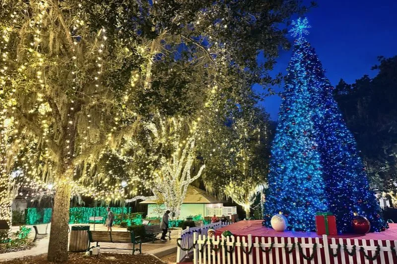 Sunset Park Christmas Lights Mount Dora - image by Dani Meyering