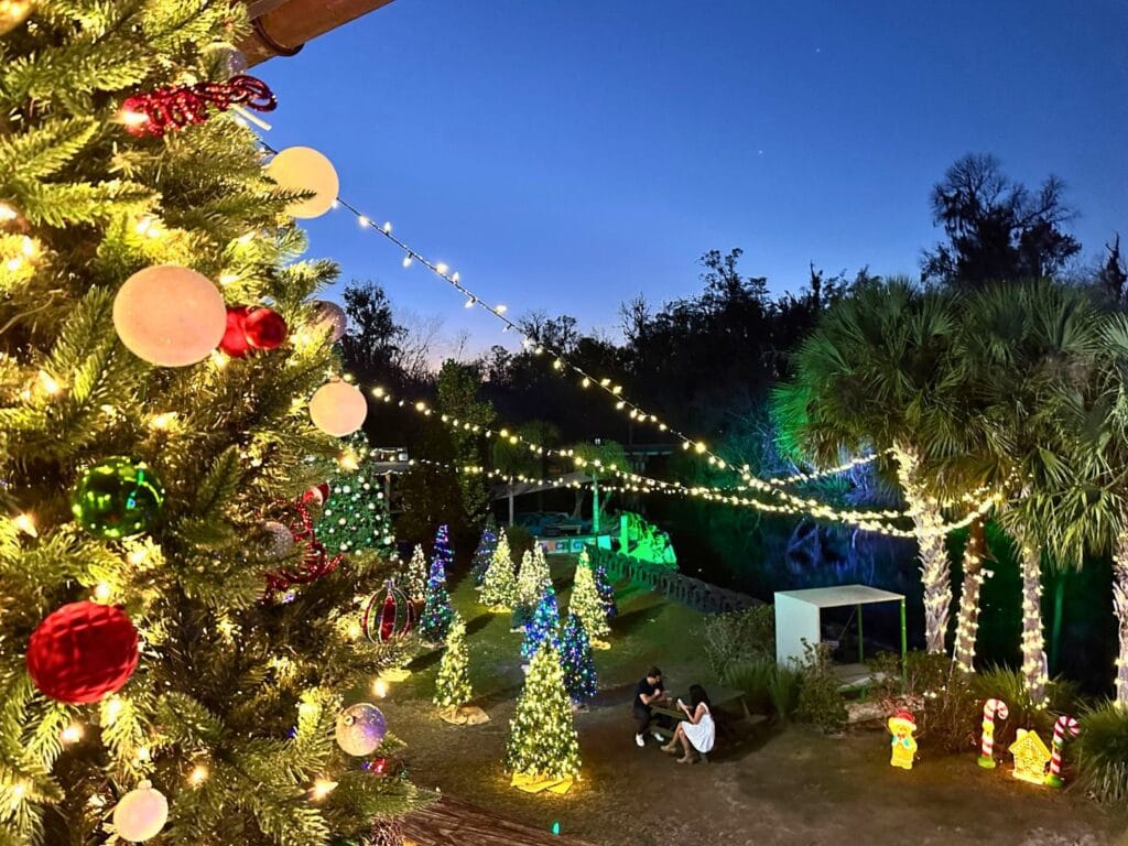 date night Christmas tree forest at Wekiva Island - image by Dani Meyering