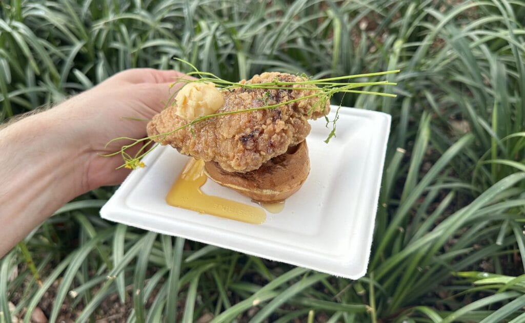 Chicken and Waffles from The Honey Bee-Stro at the EPCOT International Flower and Garden Festival.