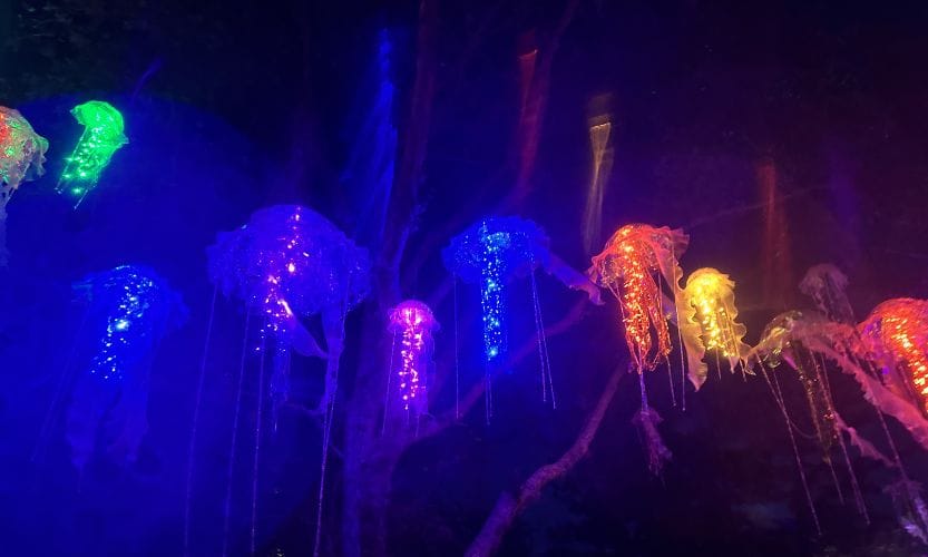 Bright neon light-up Jellyfish for Aquaglow at Aquatica!