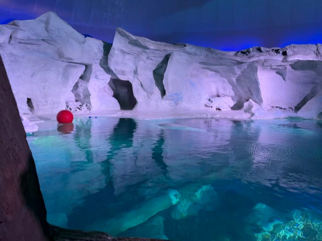 Iceburgs, Northern Lights, and sea creatures greet guests after stepping off the ride