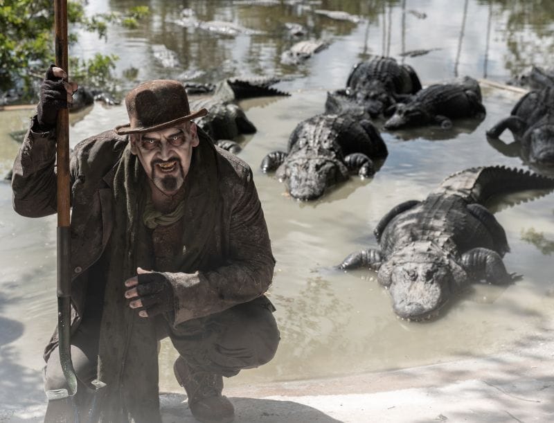 A swamp zombie and his heard of gators at Gatorland’s Gators, Ghosts & Goblins this Halloween