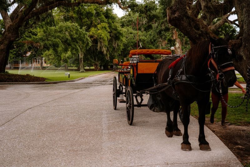 Jekyll Island horse-drawn carriage